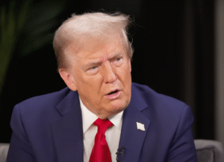 «Украина хочет перейти в наступление»: Трамп раскрыл, о чем будет говорить с Зеленским (видео)