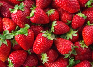 В Киевской области построят завод по заморозке ягод