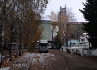 Бывший директор хлебной базы в Ворожбе получил восемь лет за хищение зерна