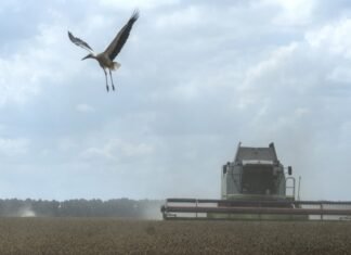 Агроэкспорт в сентябре был на 25% меньше, чем в прошлом году: отстают темпы сбора урожая