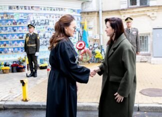 «Нам нужен ваш опыт». Литва будет учиться у Украины защищать критическую инфраструктуру