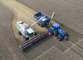 Всемирный банк ухудшил прогноз роста ВВП Украины в 2026 году: останется на уровне 2025-го