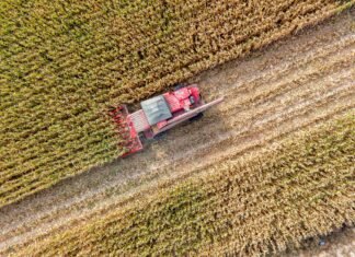 Европейская комиссия предложила удвоить поддержку молодым фермерам: отрасль быстро стареет