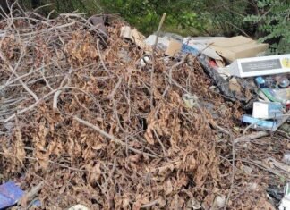 В Запорожье обнаружили большую незаконную свалку мусора