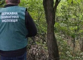 В Запорожье у многоэтажки обнаружили стихийную свалку мусора