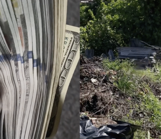 Пара купила дом в Павлограде: хозяйка залилась слезами, увидев «сюрприз» (видео)