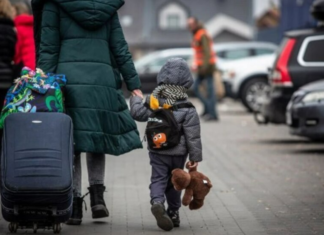 Помощь переселенцам в 2026 году: на какие выплаты могут рассчитывать ВПЛ