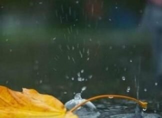 В Запорожье прогнозируют дожди и похолодание