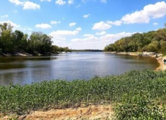 В Запорожье временно запретили гражданским находиться на территории плавней