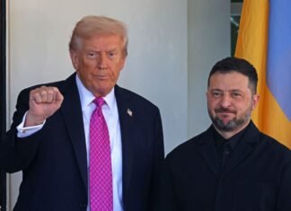Трамп уговаривал Зеленского принять условия РФ, иначе Путин «уничтожит» Украину, — FT