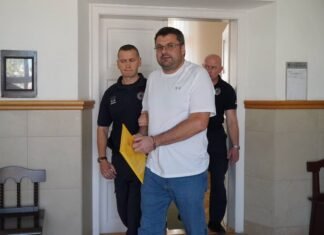 Австрия рассмотрит экстрадицию беглого генерала Наумова в Украину