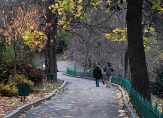 Солнце на западе, дожди на востоке: какой сегодня будет погода в Украине