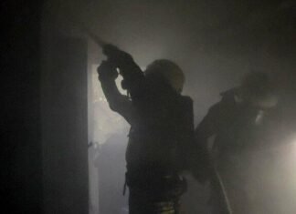 В Запорожье произошел пожар в девятиэтажке: из горящего дома спасли кота