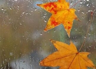 В Запорожье прогнозируют осадки и потепление