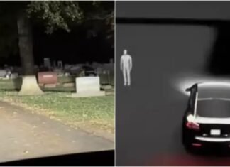 Водитель Tesla увидел загадочные силуэты на экране авто, проезжая мимо кладбища (видео)