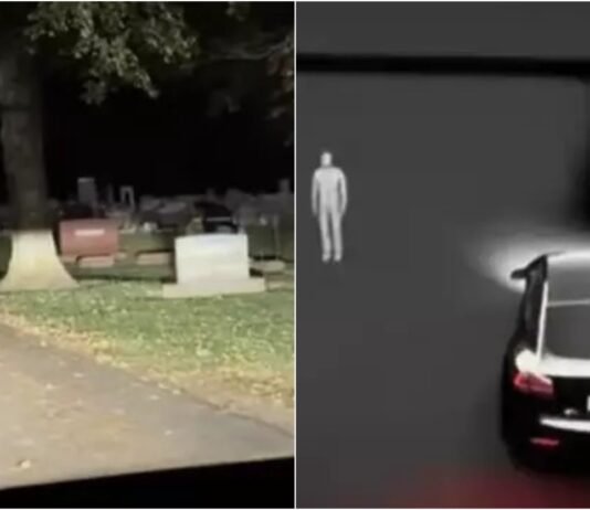 Водитель Tesla увидел загадочные силуэты на экране авто, проезжая мимо кладбища (видео)