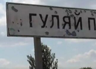 ВСУ остановили российские войска на подступах к Гуляйполю, — Волошин