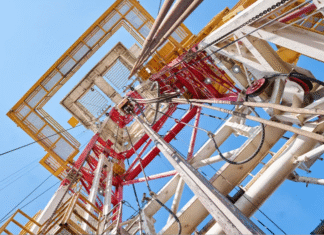 Дочери Злочевского купили компанию с месторождением газа на Прикарпатье – Nadra.Info