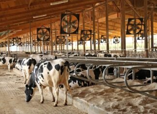 Кабинет министров удвоил компенсацию за строительство ферм в прифронтовых районах