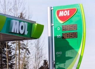 Венгерская компания может заменить Россию в акционерном капитале сербской NIS