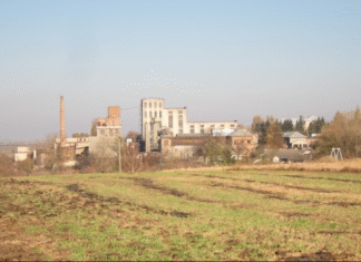 Выставленный на приватизацию спиртзавод не уплатил 21 млн грн налогов – прокуратура