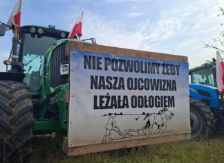Польские фермеры вышли на протест против политики ЕС и импорта из Украины – фото