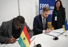 Украина начала создавать агрохабы в Африке: первый – в Гане