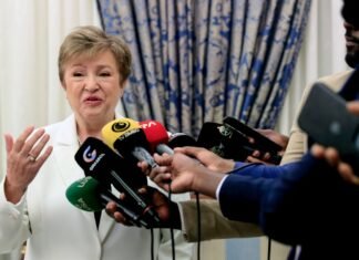 Глава МВФ: ИИ накроет рынок труда «как цунами» – под угрозой изменений до 60% рабочих мест