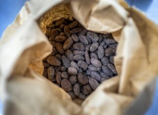 Цены на какао упали до минимума с февраля 2024 года