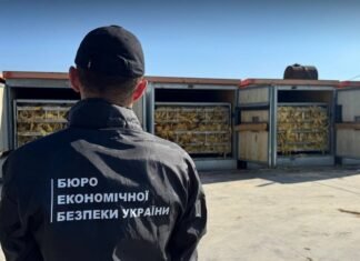 На Буковине нашли подпольный табачный цех: владелец агрофирмы получил подозрение – фото, видео