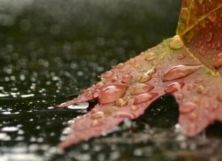 В Запорожье ожидаются дожди, туманы и похолодание