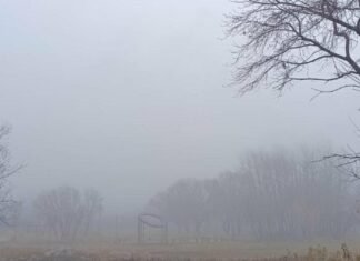 В Запорожской области ожидается сухая погода и туман