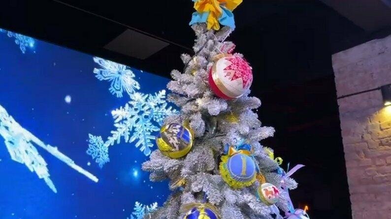 В Запорожье обустроят две новогодние локации