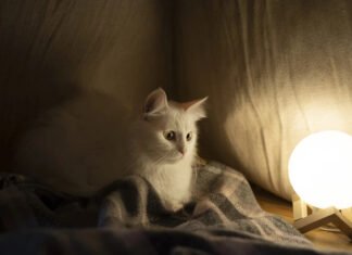 Графики отключений на 14 ноября: кто может остаться без света почти на 15 часов (фото)