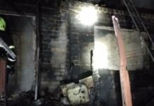 В Запорожской области произошел пожар в садовом обществе: травмировалась 73-летняя женщина