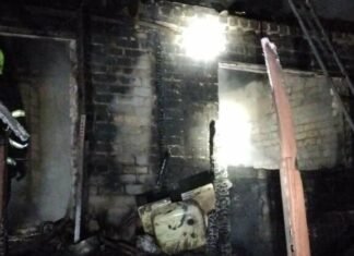 В Запорожской области произошел пожар в садовом обществе: травмировалась 73-летняя женщина