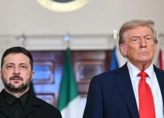 Трамп и Зеленский согласуют мирный план: Reuters узнало, когда