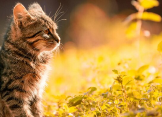 Дожди, снег и похолодание: синоптики предупредили о резких переменах погоды