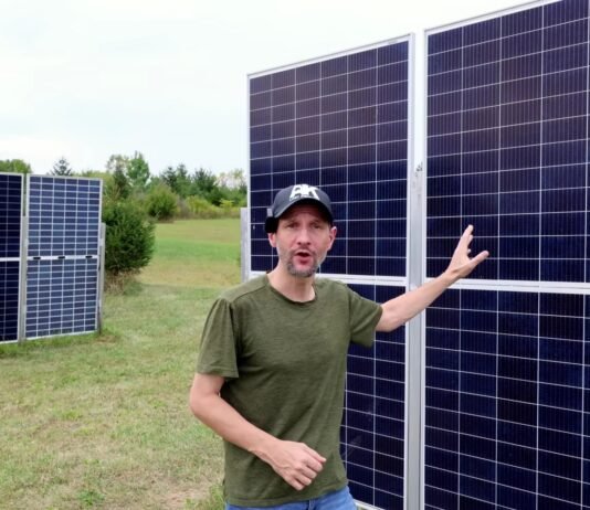 Солнечные панели замешаны в масштабной афере в Японии: о чем предупредили эксперты