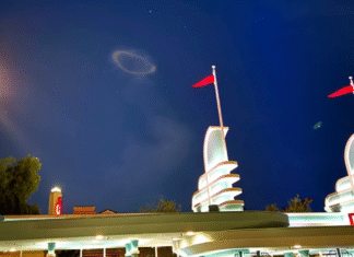 Черное кольцо над Диснейлендом переполошило интернет: люди говорят об НЛО (видео)