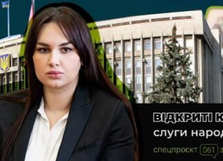 Миллион от продажи квартиры и кэш в долларах: как изменилось состояние главы Запорожского облсовета Елены Жук