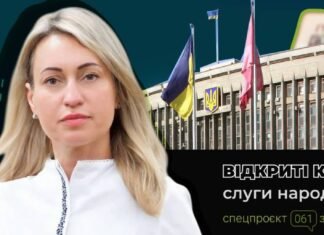 Дом, земля, авто и экскаватор: каким состоянием владеет заместительница главы ЗОВА Людмила Бухарина