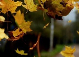 В Запорожье зарегистрировали новый температурный рекорд