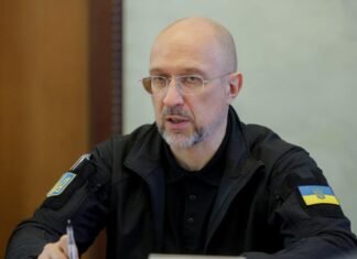 Украина локализует производство истребителей Gripen в 2033 году, — Шмыгаль