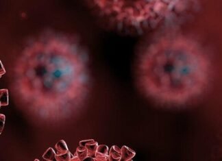 В Запорожской области циркулирует новый штамм коронавируса Stratus: что известно