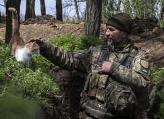 ВСУ отбили сегодня более 50 атак РФ на Покровском направлении, — Генштаб