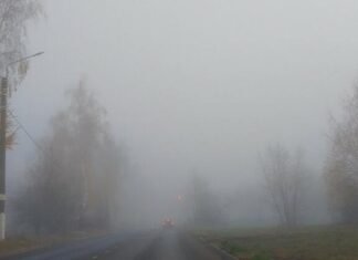 Синоптики предупреждают о тумане в Запорожье