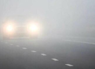 В Запорожье прогнозируют туманы и до 12° тепла