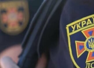 В Запорожском районе произошел пожар на территории садового общества