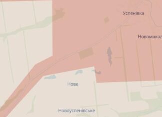 В Запорожской области оккупирована Новониколаевка, враг продвинулся к Яблоковому и Солодкому, – DeepState